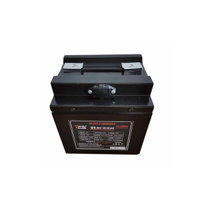 标准锂电池48V16AH
