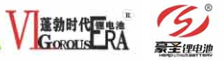 浙江台州大力士新能源有限公司